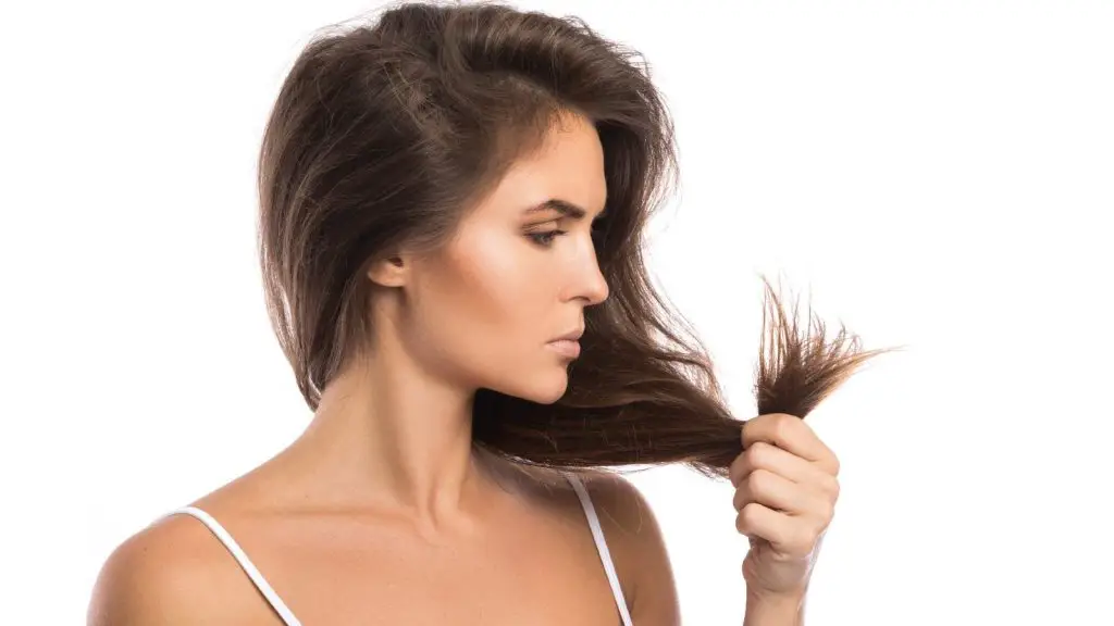 cabello seco 1