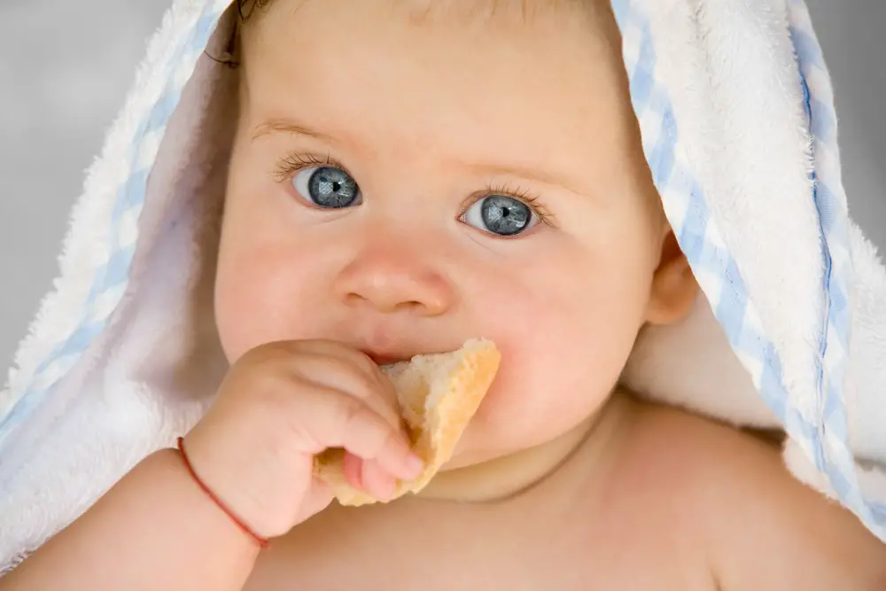 desayunos para bebes de 8 meses como