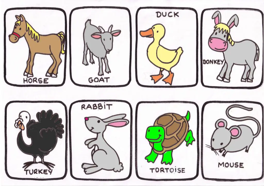mascota en ingles mascota en ingles