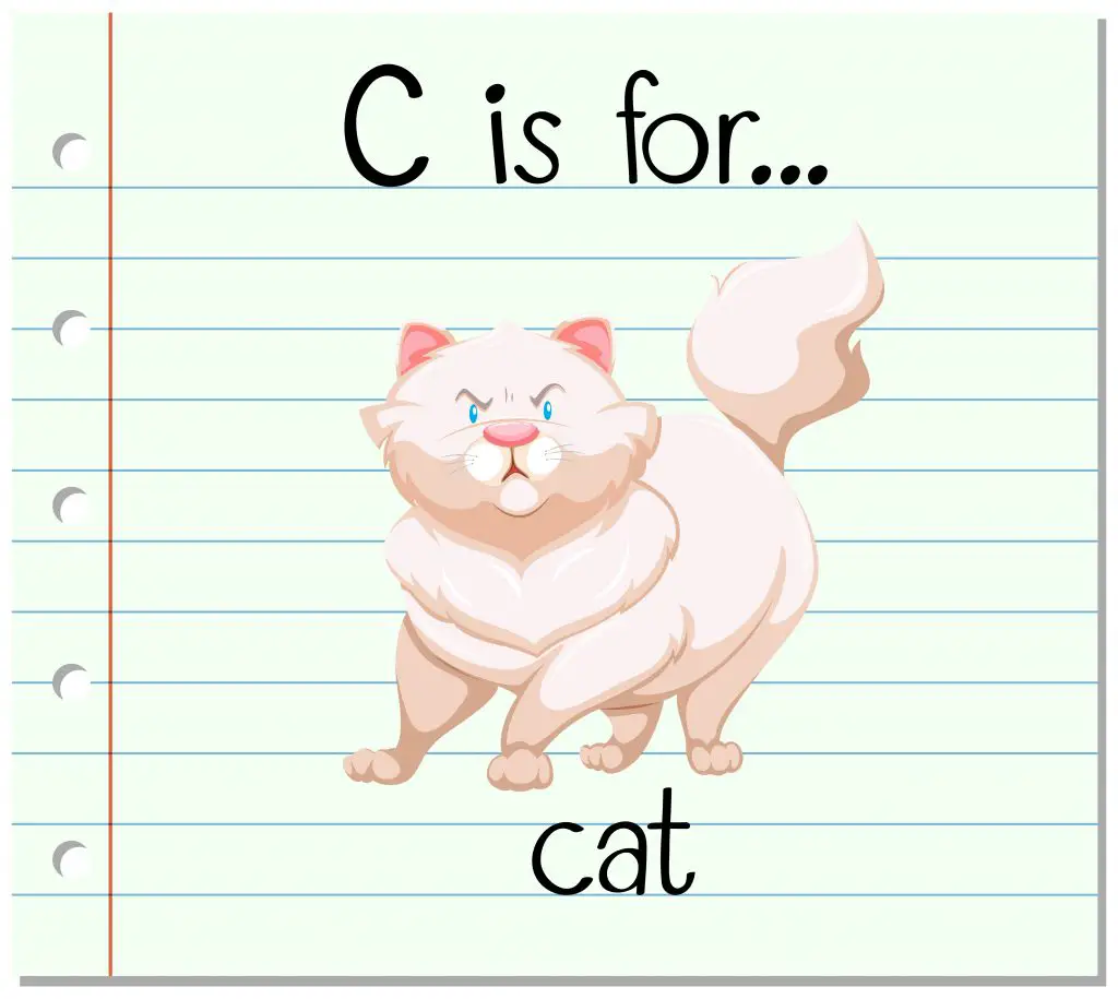 mascotas en ingles mascotas en ingles
