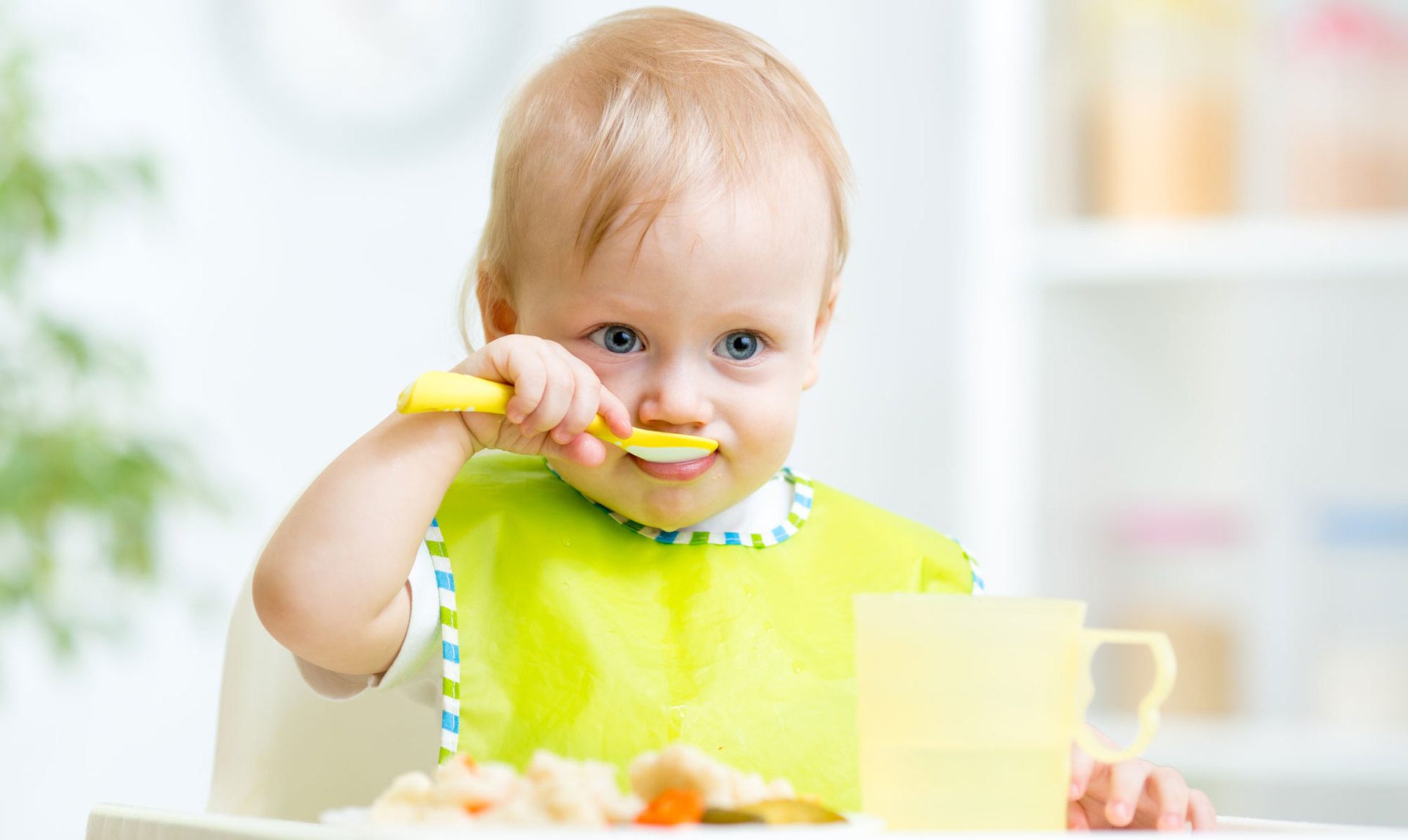 Papillas para bebes de 12 meses