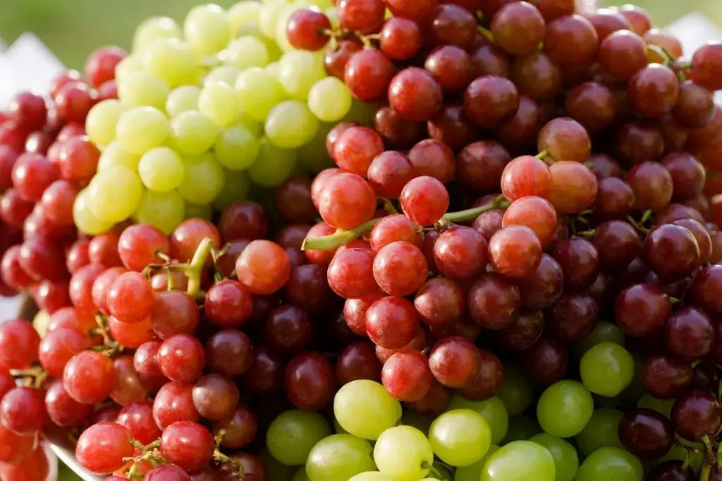 frutas maduras frutas maduras