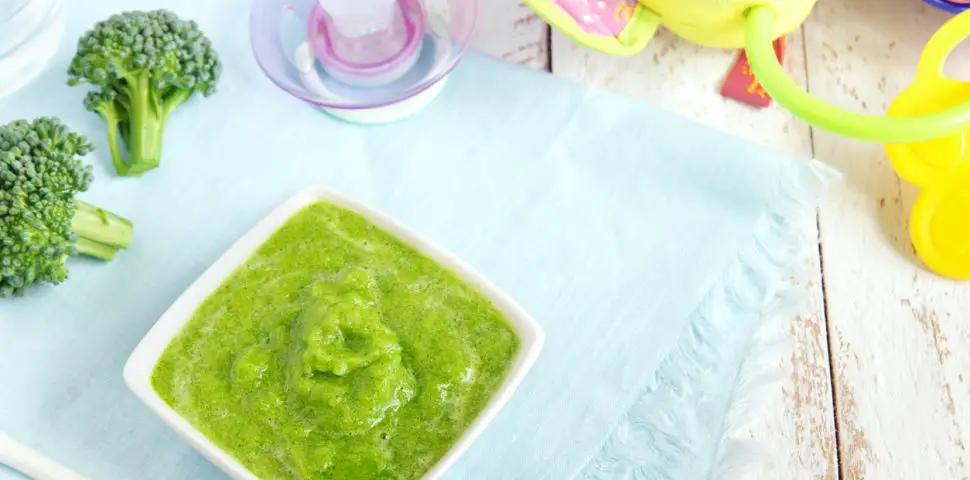 papillas para bebes de 10 meses de brocoli papillas para bebes de 10 meses de brocoli