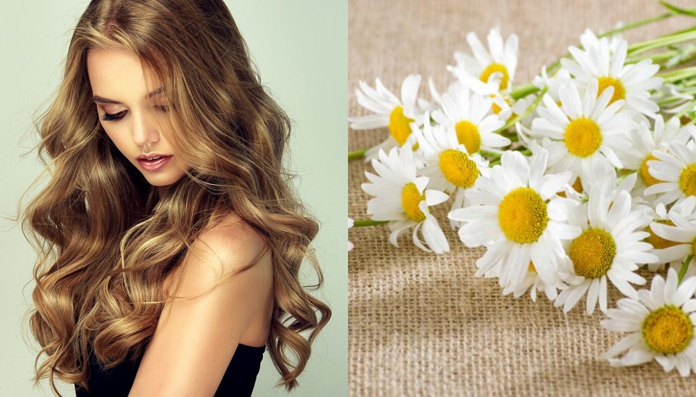 Tintes naturales para el cabello manzanilla 2