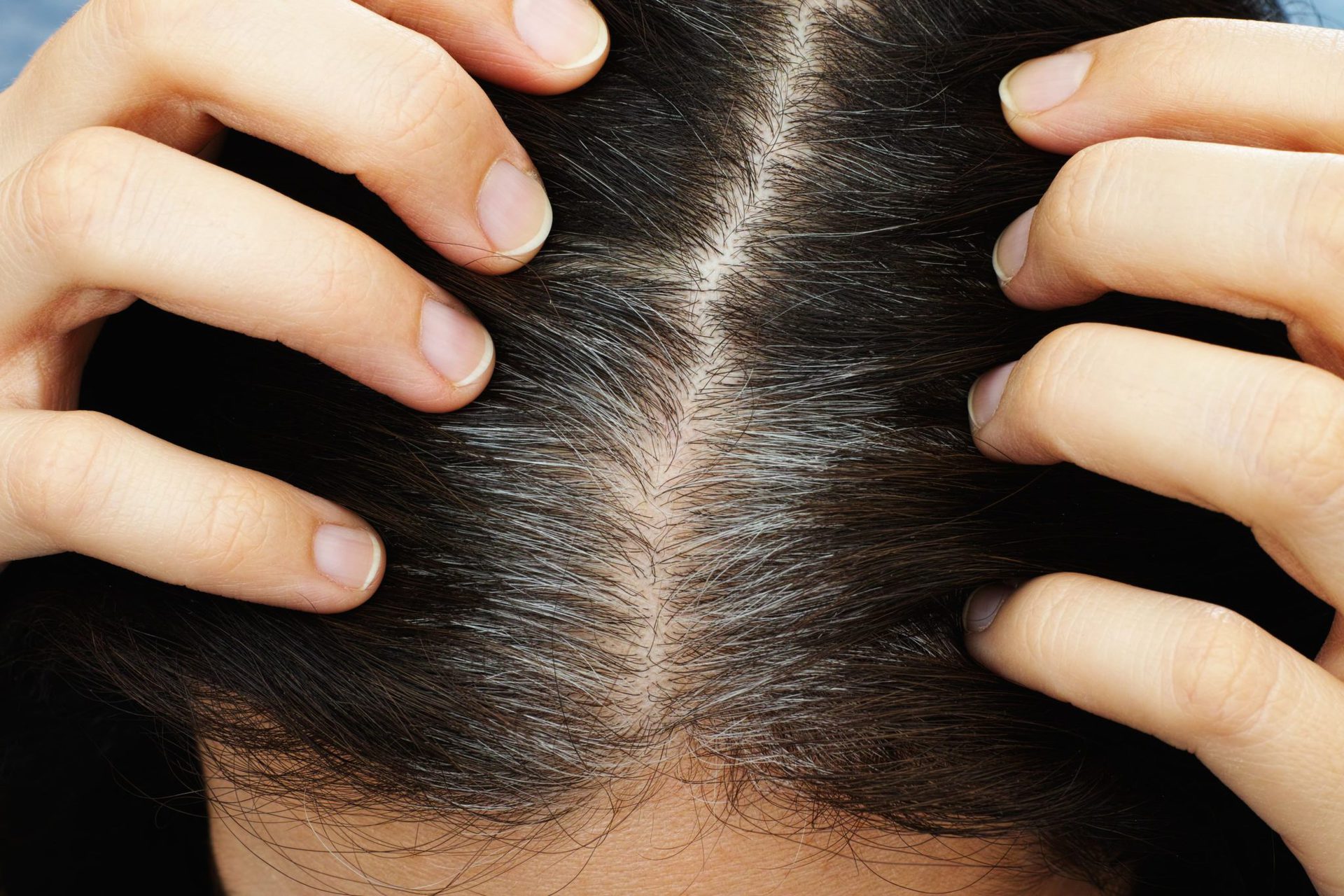 Tintes naturales para el cabello salvia 1