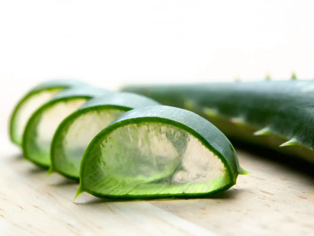 Mascarilla de jengibre y aloe vera