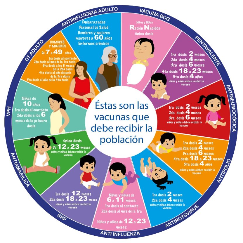 Calendario de vacunacion Bolivia