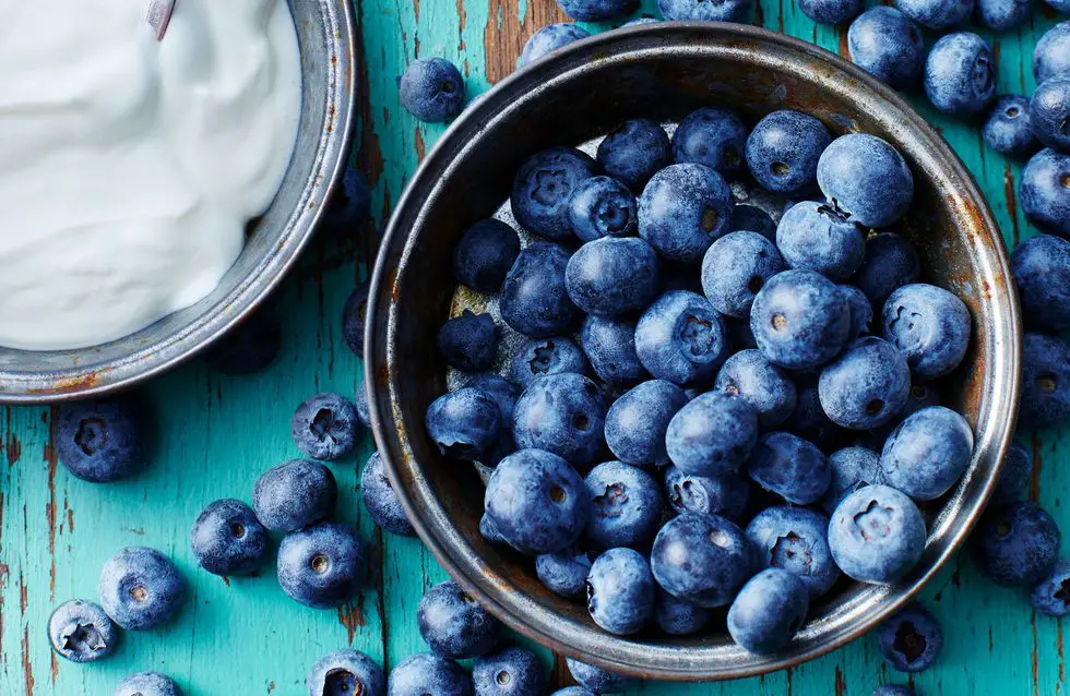 arándanos frutas para hipertensos arándanos frutas para hipertensos