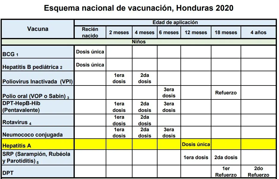Esquema nacional de vacunación de honduras 2020 Esquema nacional de vacunación de honduras 2020