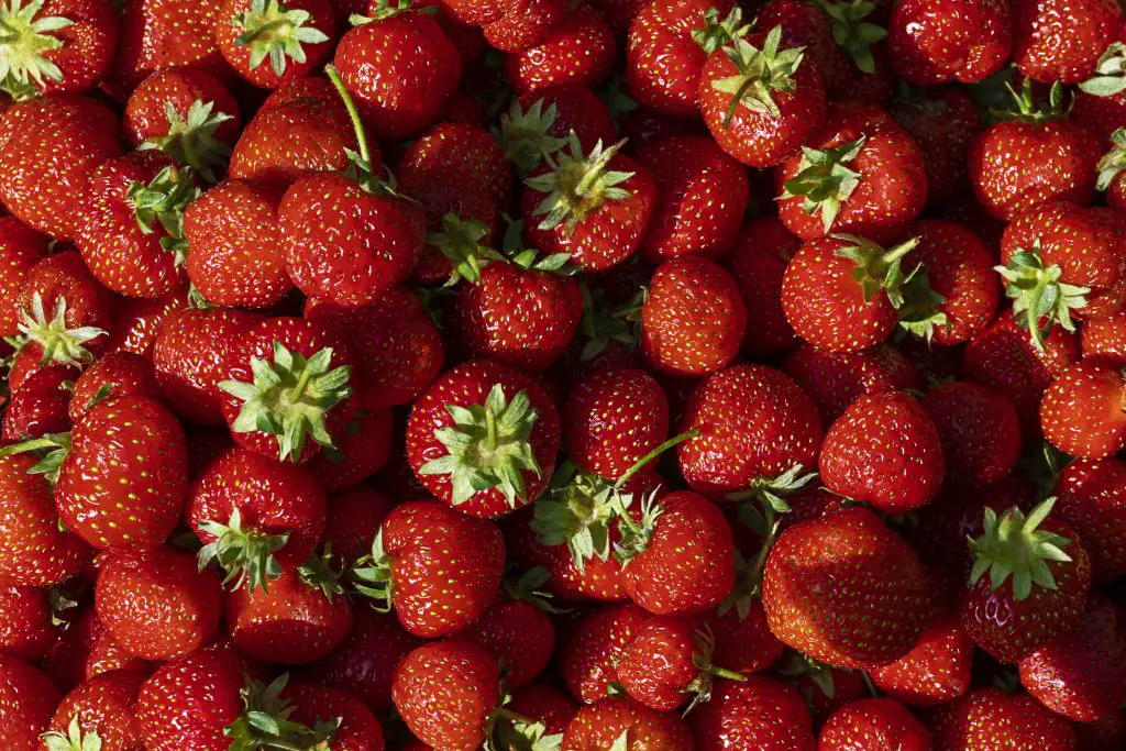 frutas frescas frutas frescas