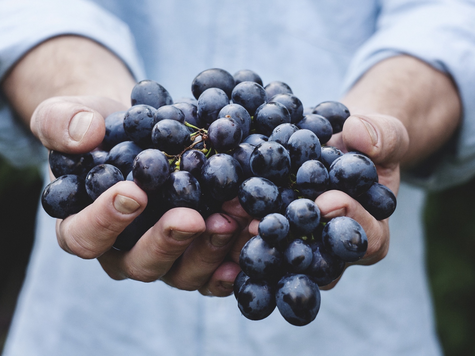 uva frutas para hipertensos uva frutas para hipertensos