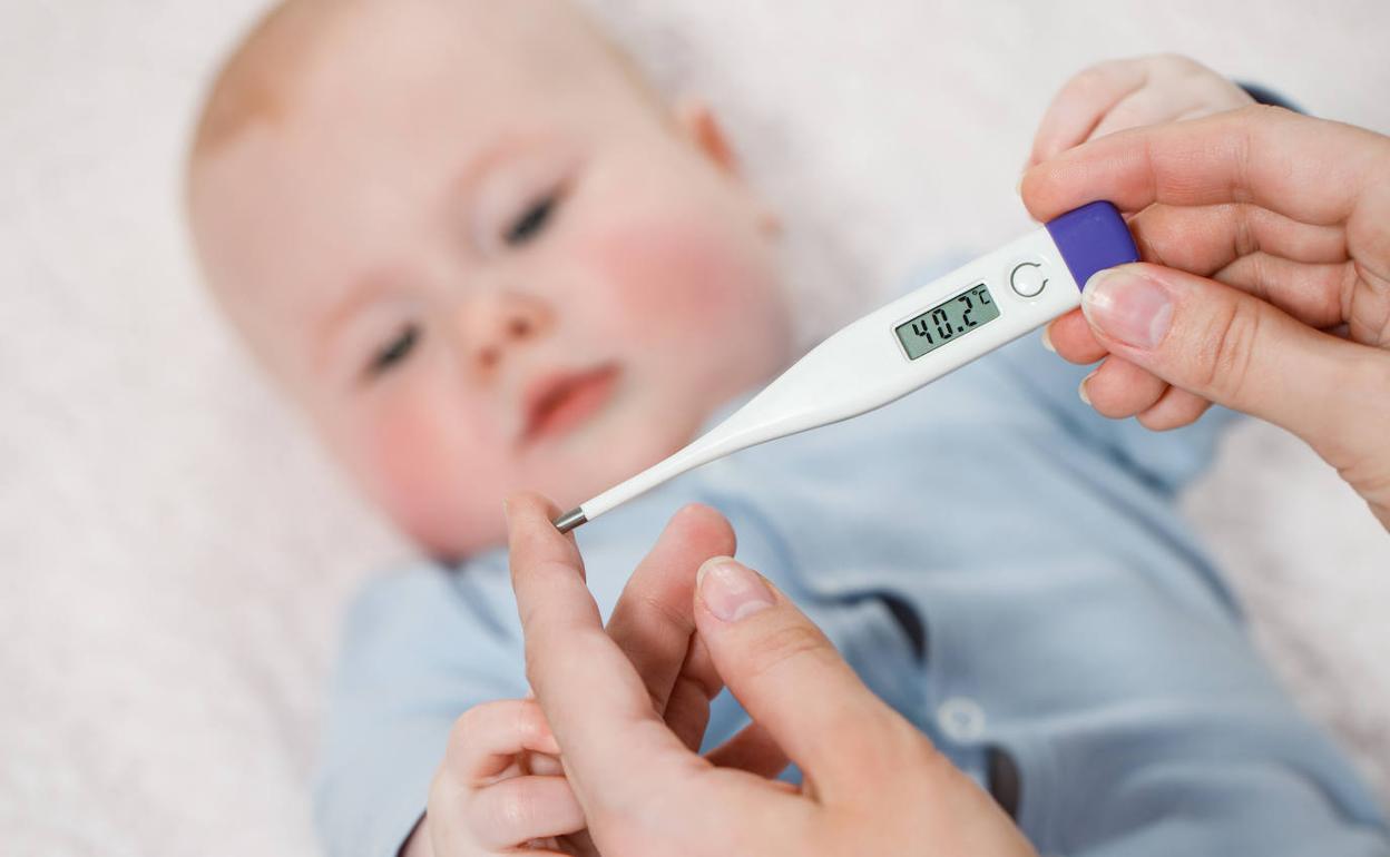 vacuna fiebre amarilla vacuna fiebre amarilla