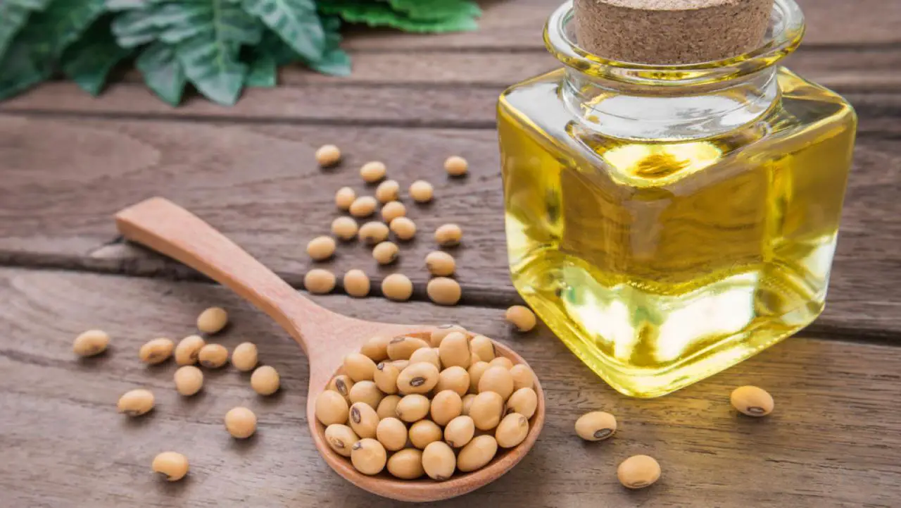 Aceite de oliva en la piel