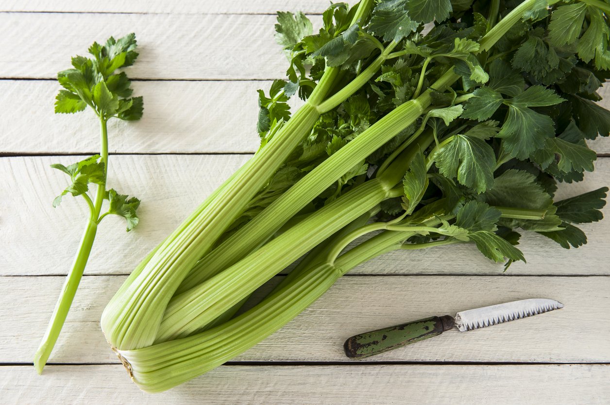 lista de verduras apio lista de verduras apio