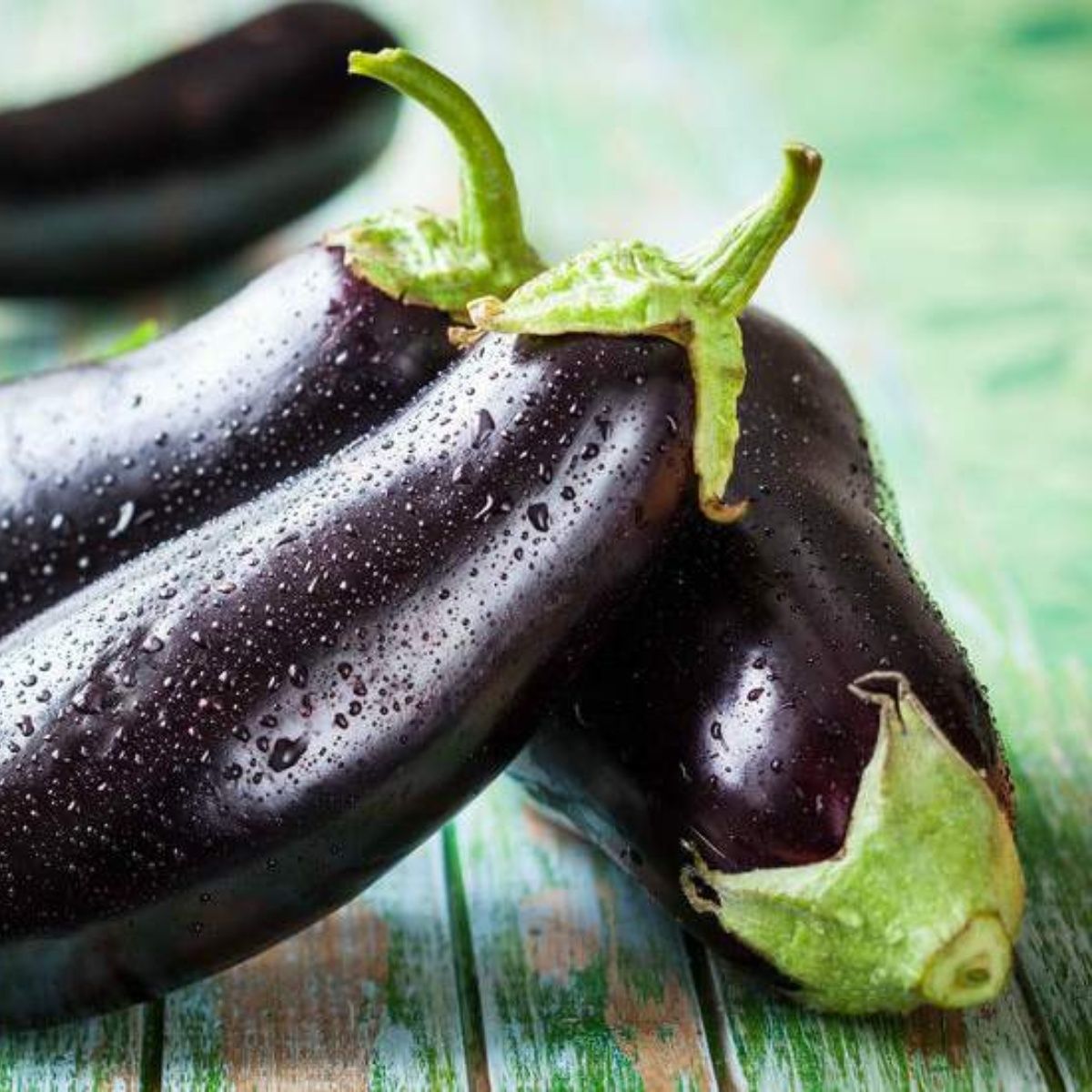 lista de verduras berenjena lista de verduras berenjena