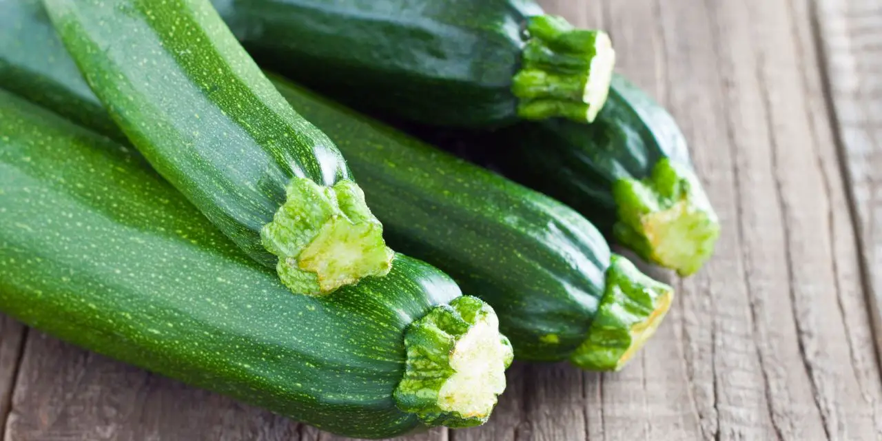 lista de verduras calabacin lista de verduras calabacin