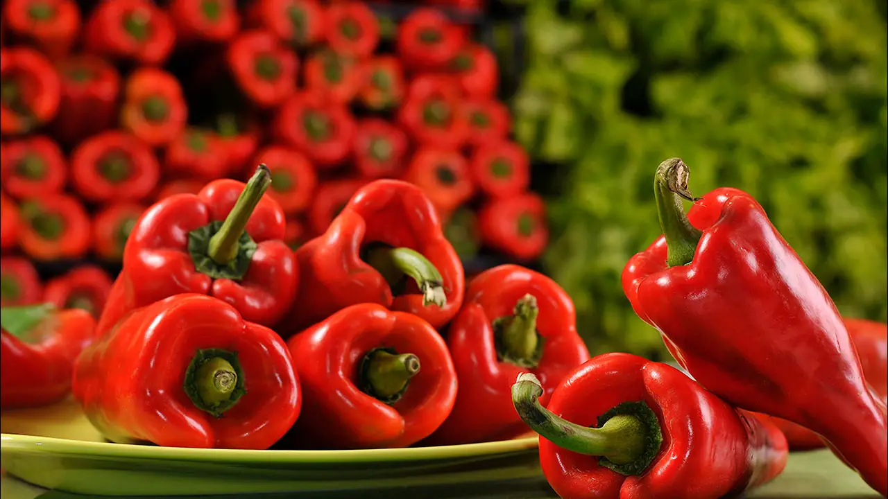 lista de verduras pimenton lista de verduras pimenton