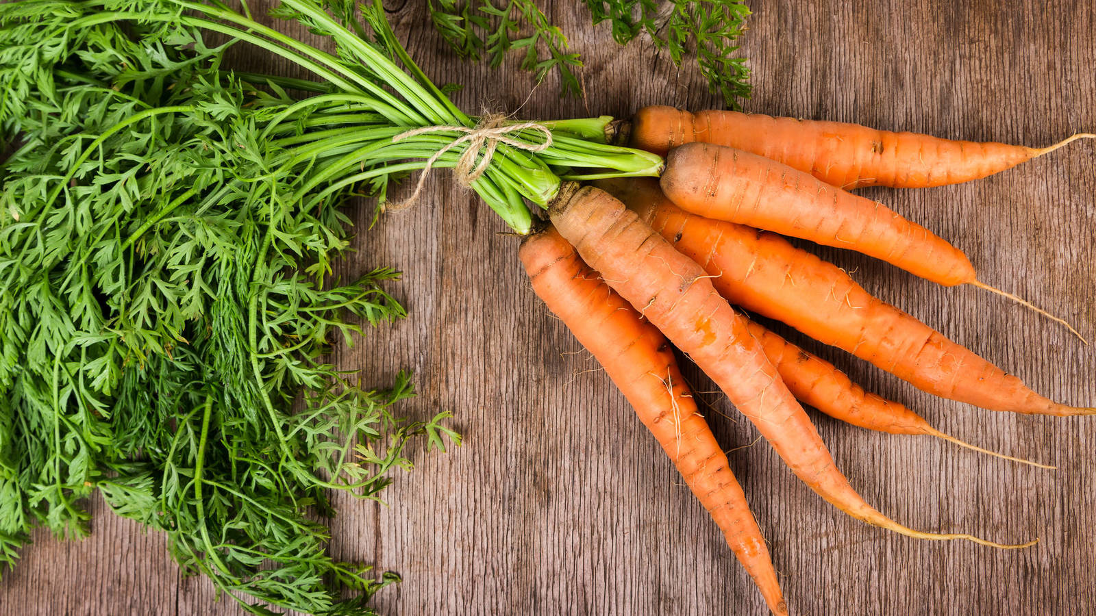lista de hortalizas zanahoria