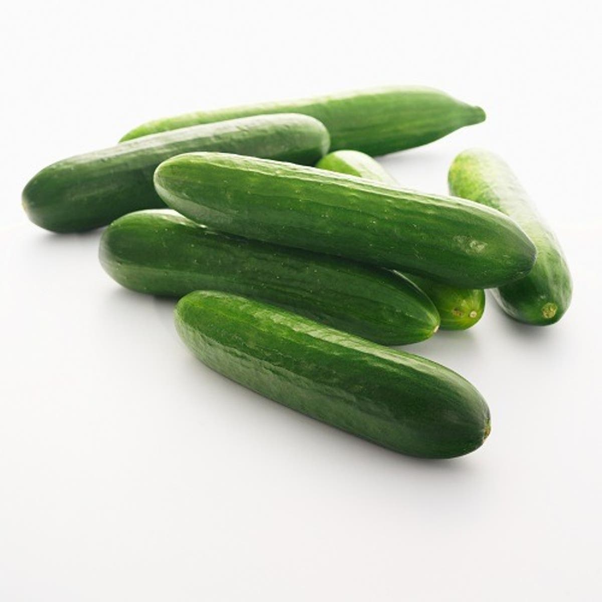 lista de veruras pepino lista de veruras pepino