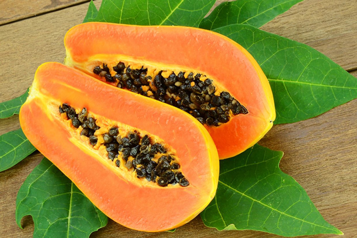 todas las frutas papaya o lechosa todas las frutas papaya o lechosa