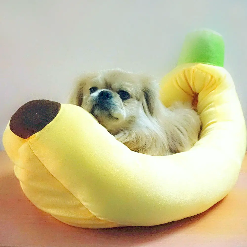 Bananos para perros