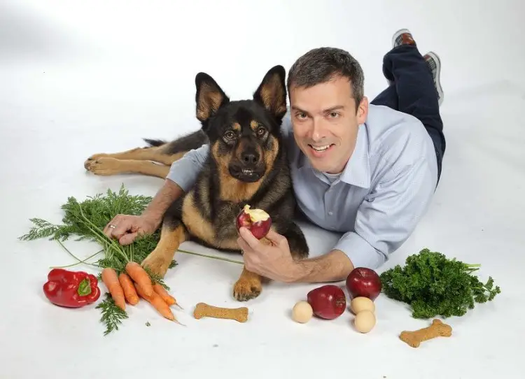¿Pueden comer frutas los perros?