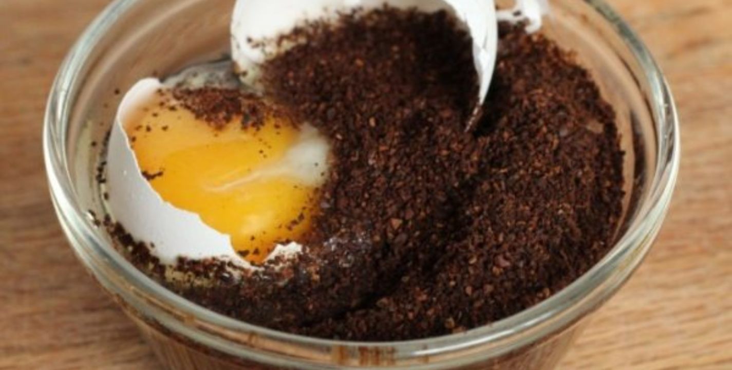 Mascarillas de huevo, mayonesa y café para el cabello