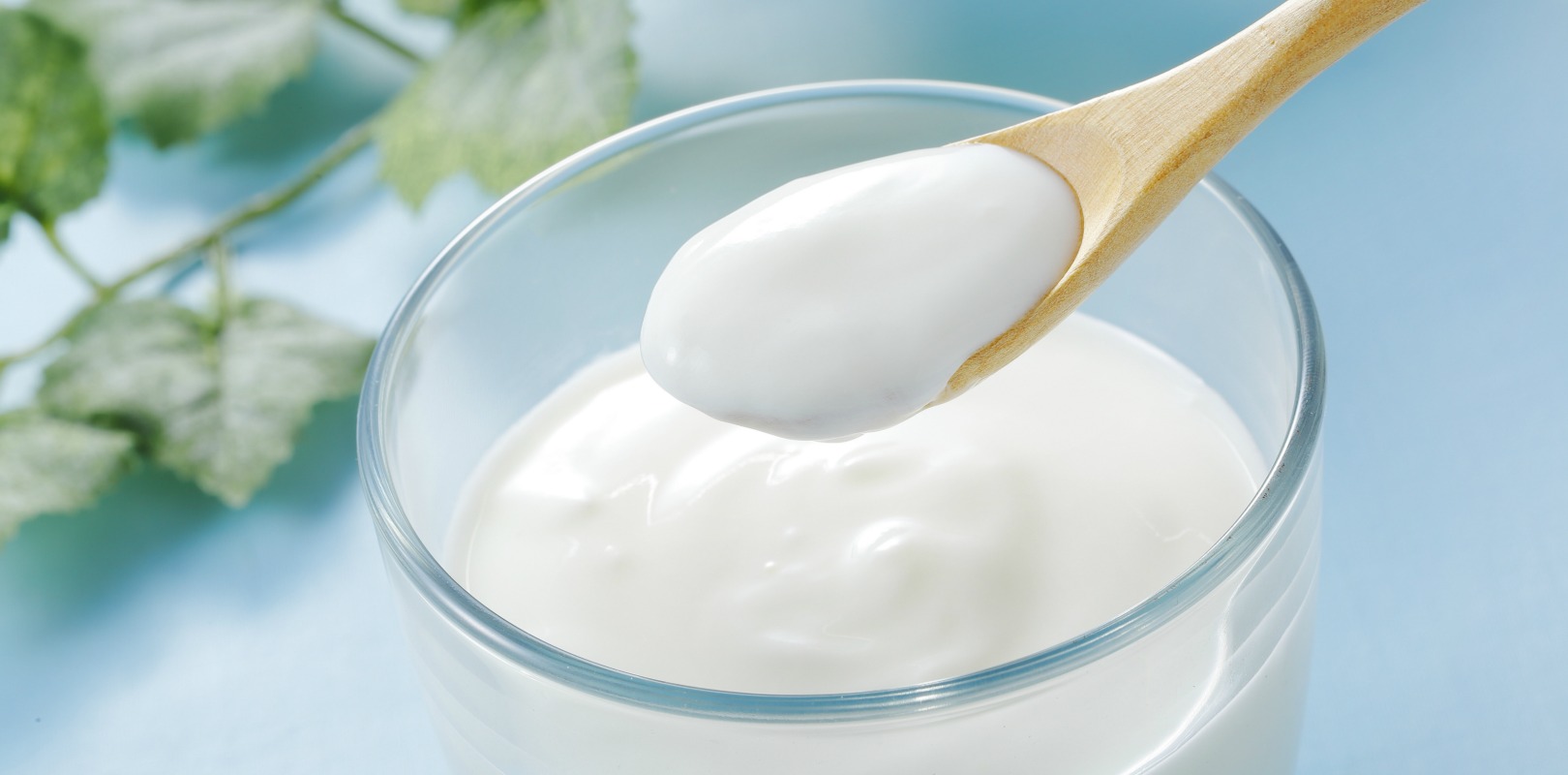 Mascarillas caceras para el cabello de yugurt y vinagre