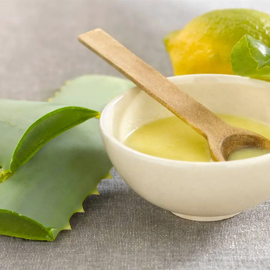 aloe vera aloe vera