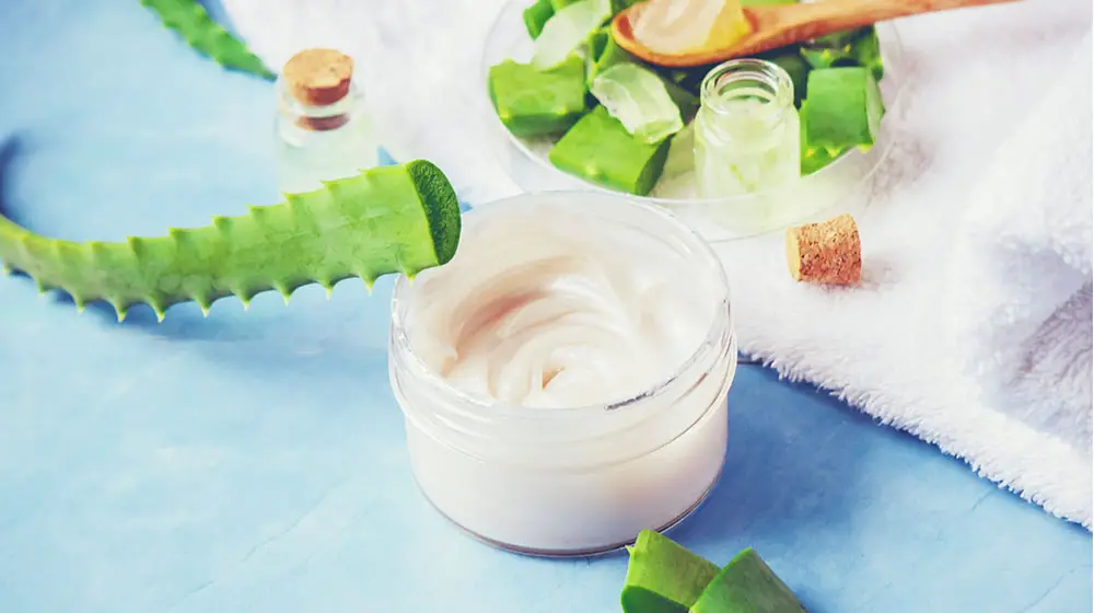 mascarillas para el cabello con aloe vera para que sirven mascarillas para el cabello con aloe vera para que sirven