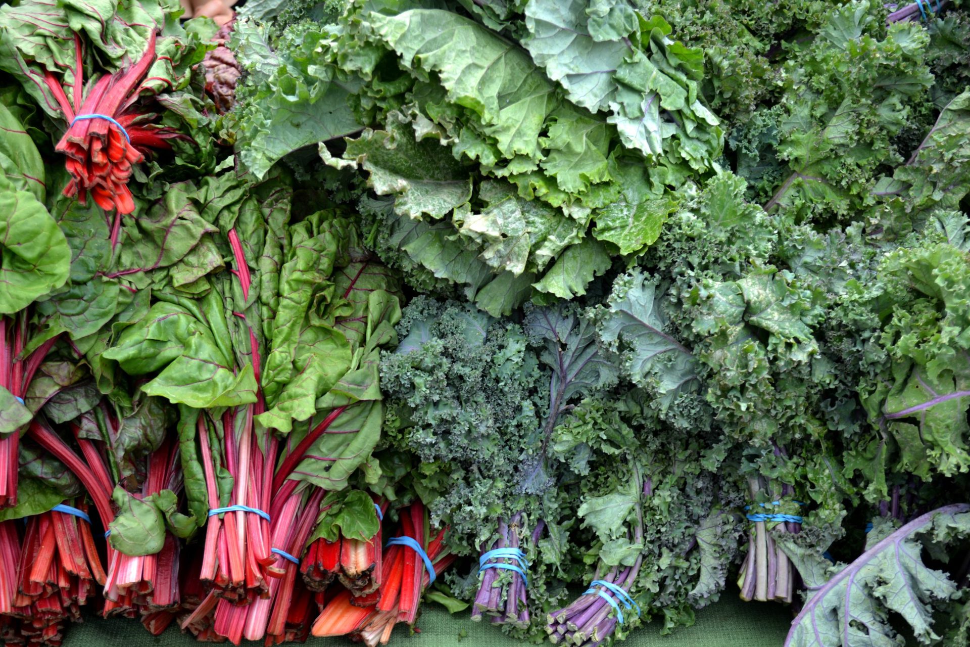 lista de verduras lista de verduras