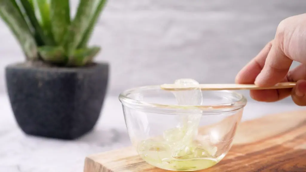 ¿Cómo hacer una mascarilla casera para el pelo? ¿Cómo hacer una mascarilla casera para el pelo?