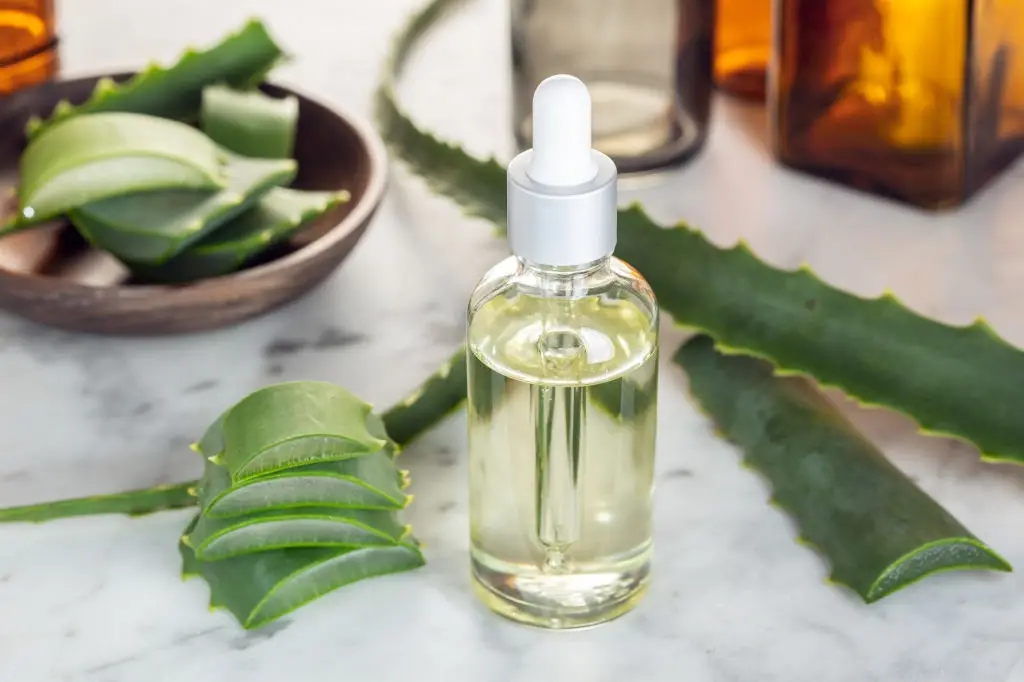cejas gruesas y perfectas remedio aloe