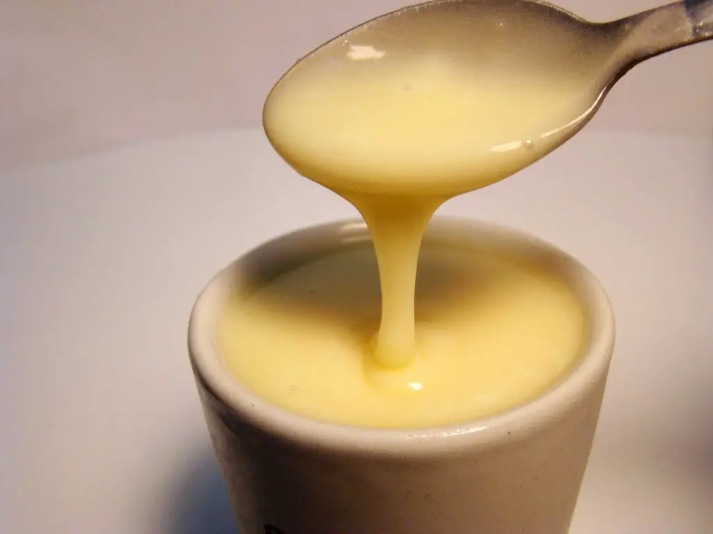 Postres con leche condensada sin horno Postres con leche condensada sin horno