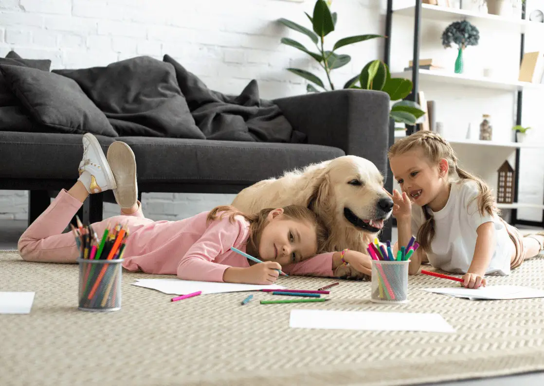 mascotas para ninos perros mascotas para ninos perros