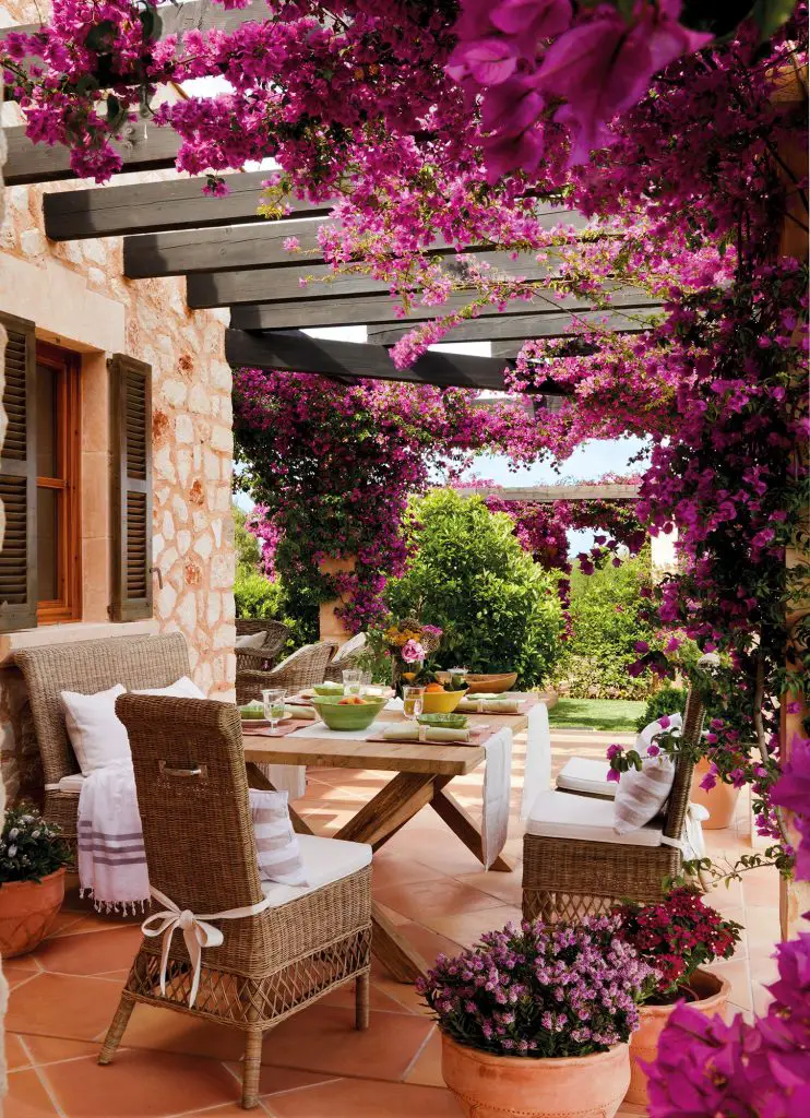Plantas para jardines pequeños Plantas para jardines pequeños