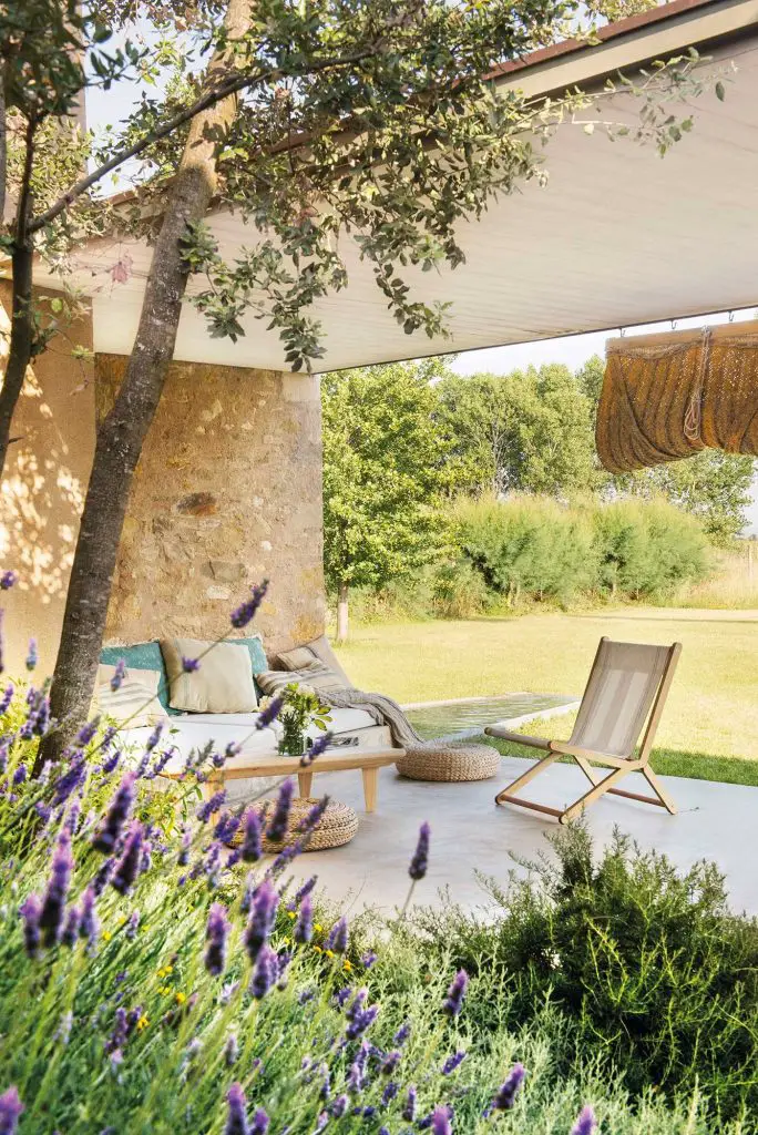 Plantas para jardines pequeños Plantas para jardines pequeños