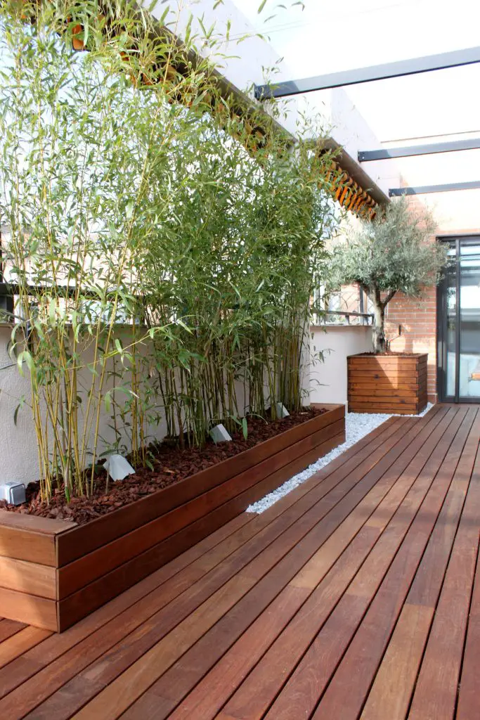 Plantas para jardines pequeños Plantas para jardines pequeños