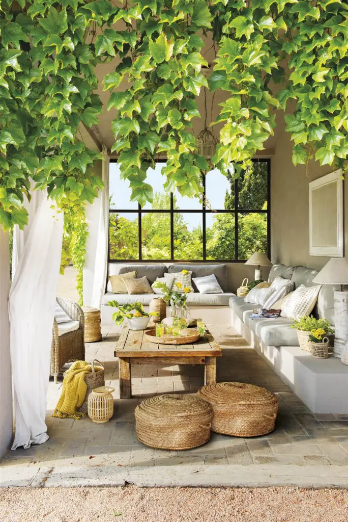 Plantas para jardines pequeños Plantas para jardines pequeños