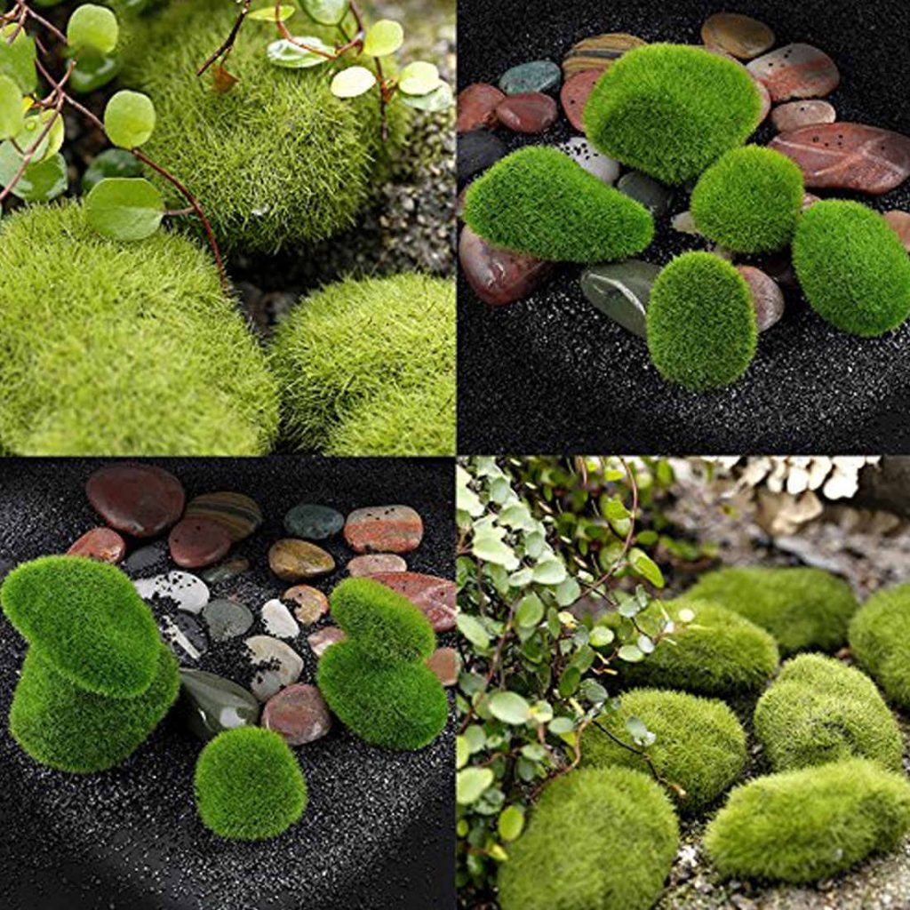 Plantas para jardines pequeños Plantas para jardines pequeños