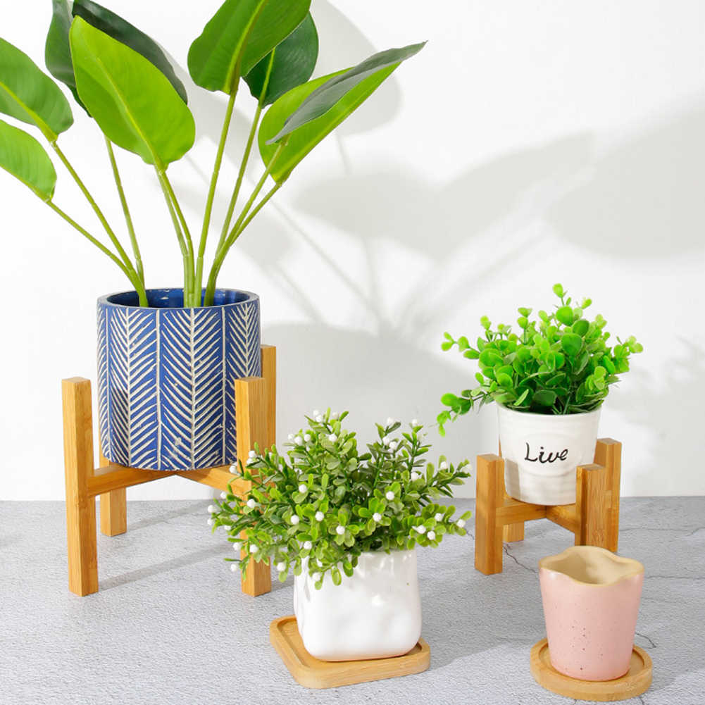 Plantas para jardines pequeños Plantas para jardines pequeños