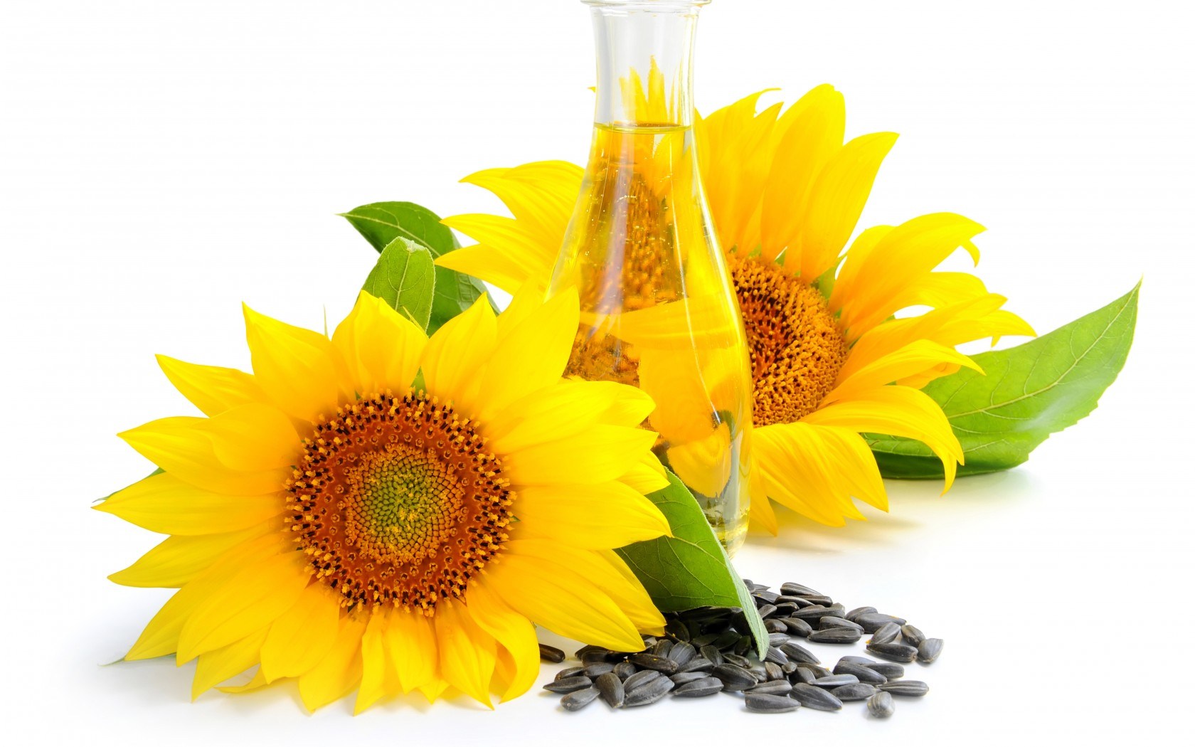 aceite de girasol 3