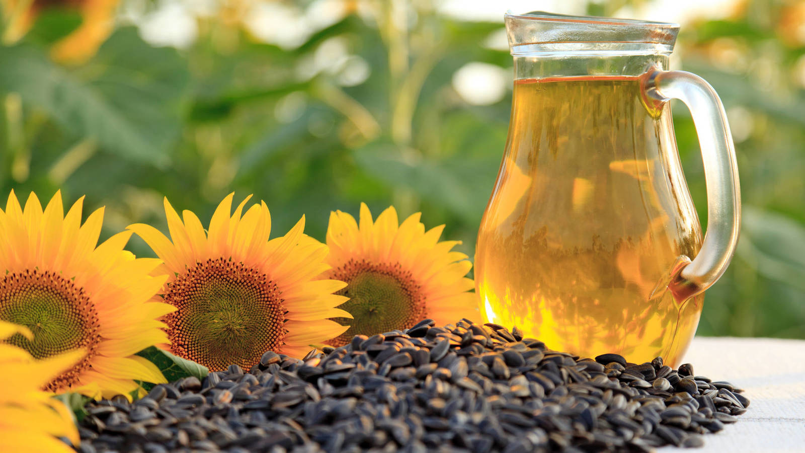 aceite de girasol 5