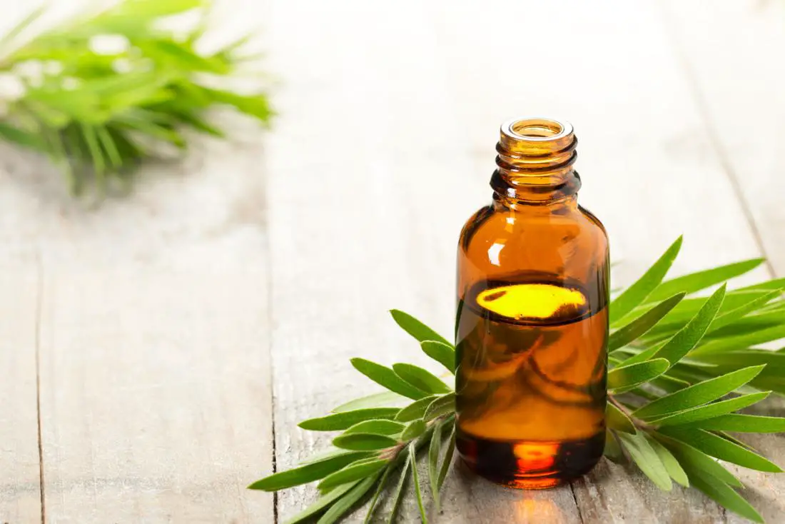 Aceite árbol de te 15