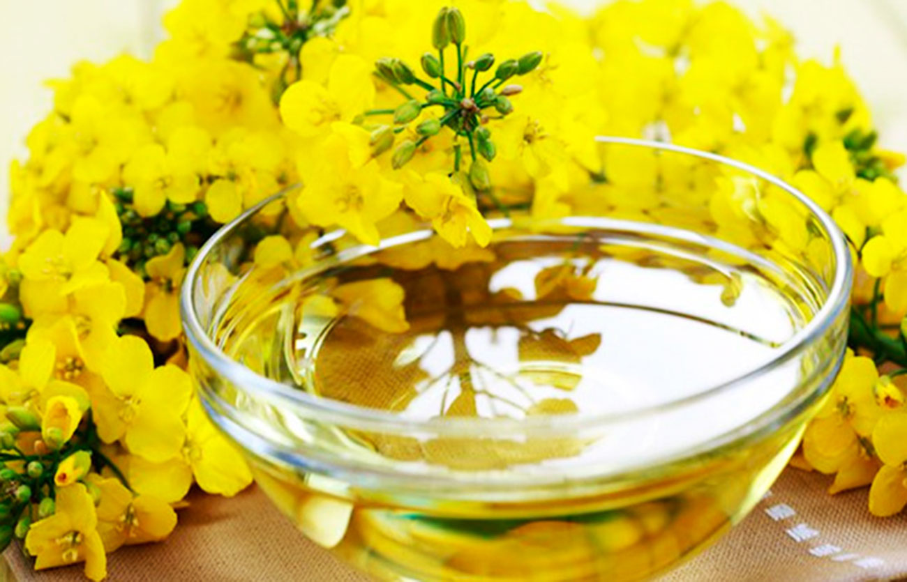 aceite de canola 6