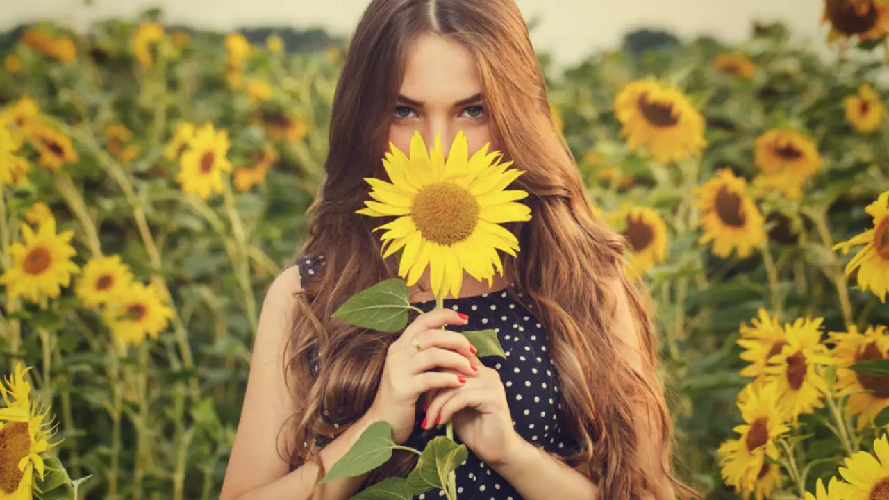 aceite de girasol 3