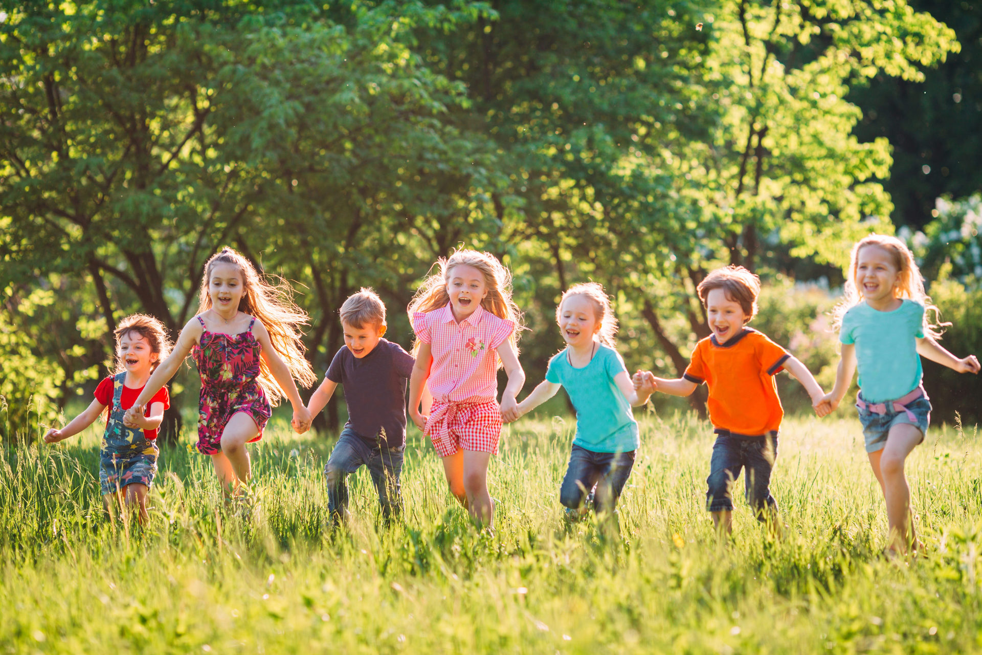 actividades para ninos con discapacidad intelectual primaria jardin