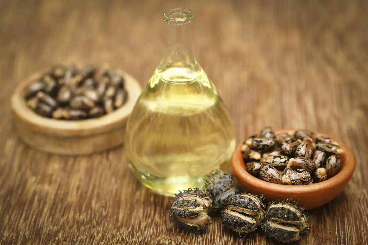 Tipos de aceites 8
