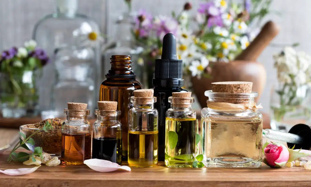 Tipos de aceites g2