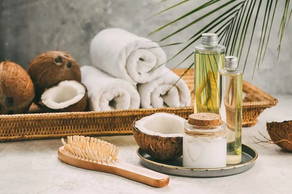 Tratamientos caseros para el cabello seco Tratamientos caseros para el cabello seco